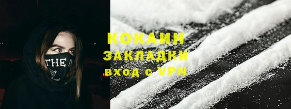 2c-b Инта