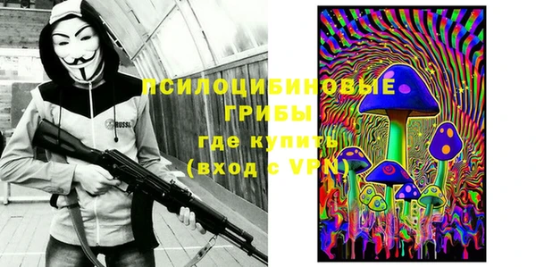 МДПВ Иннополис