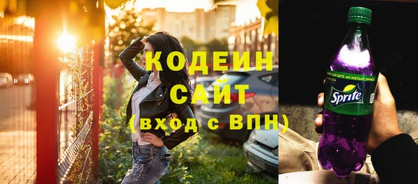 2c-b Инта