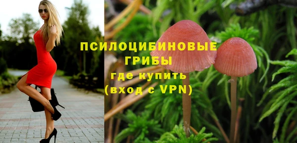 МДПВ Иннополис