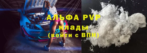 2c-b Инта