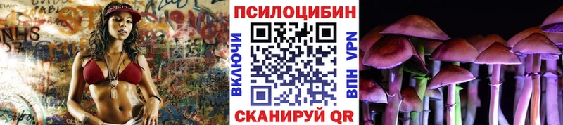 Галлюциногенные грибы Cubensis Шлиссельбург